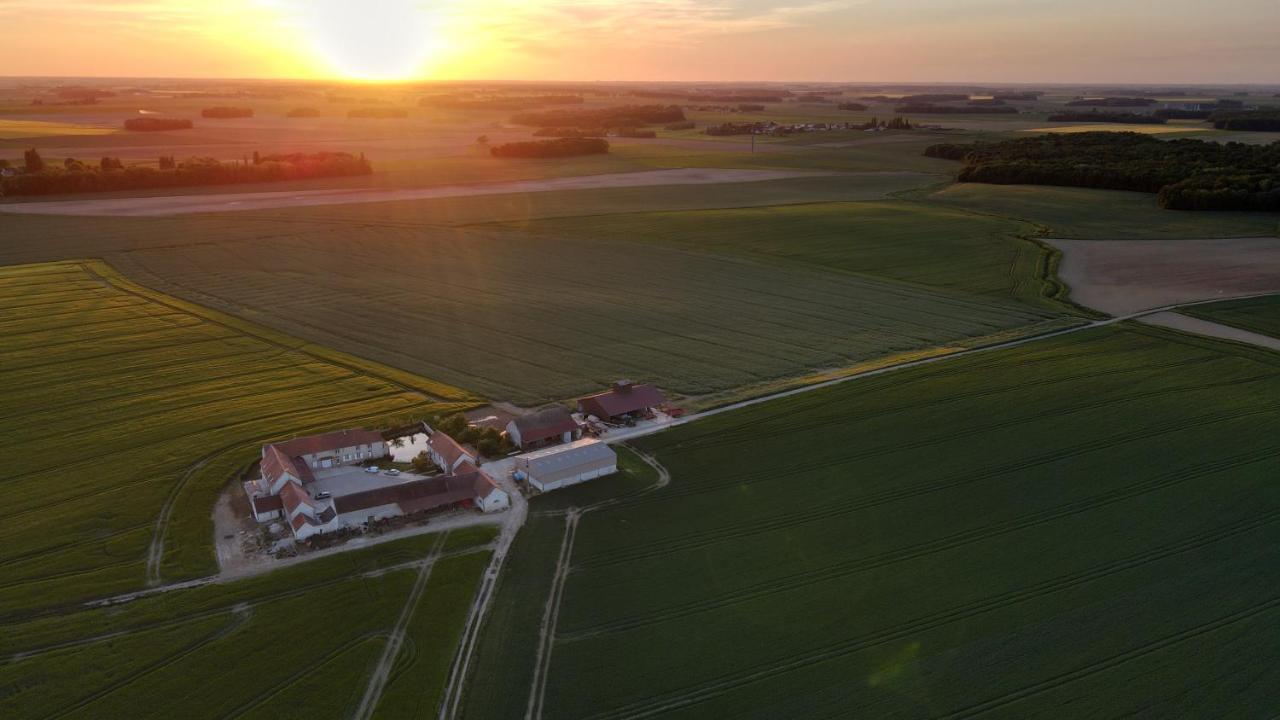 Chambre D'Hotes Le Domaine Des Hirondelles Champcenest Zewnętrze zdjęcie